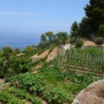 Michael Douglas és Catherine Zeta-Jones Mallorcai nyaralója